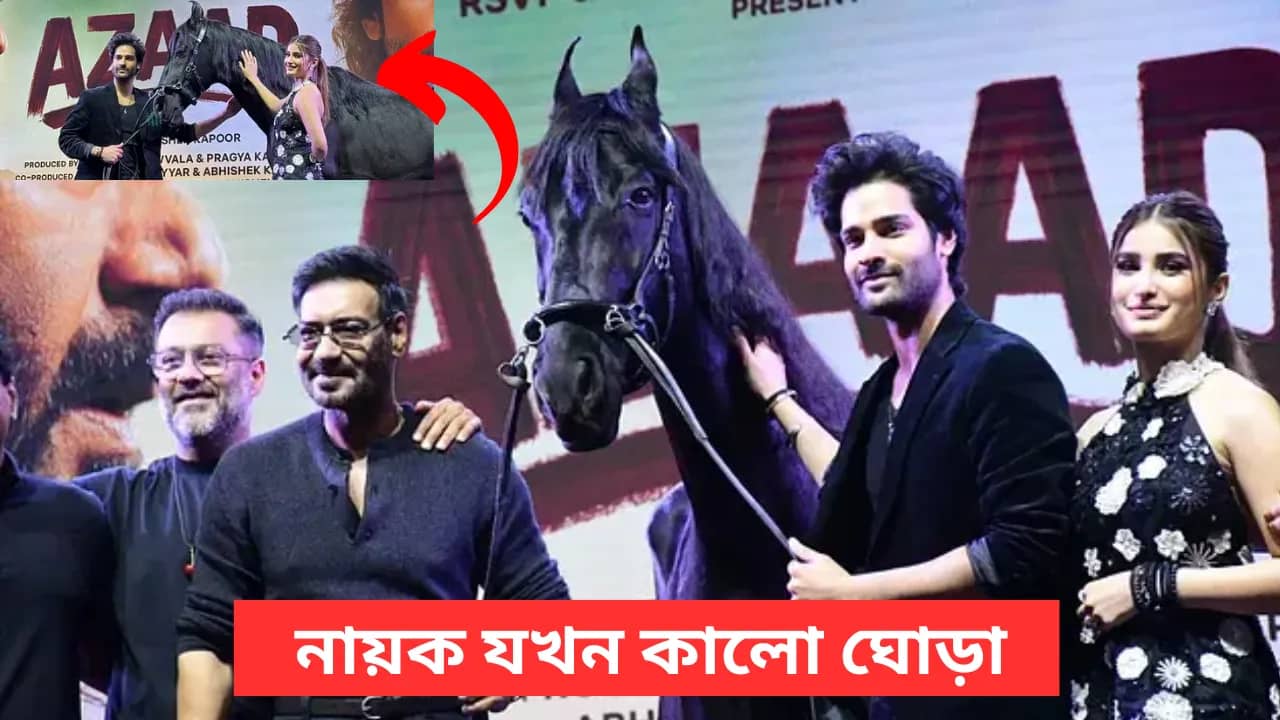 নায়ক যখন কালো ঘোড়া