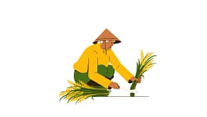 পরিবার পরিকল্পনা নিয়োগ ২০২৫ সার্কুলার