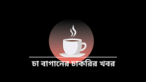 চা বাগানের চাকরির খবর Tea Board Job Circular 2025