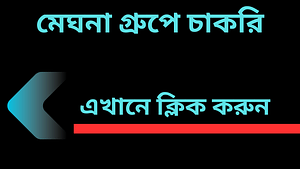 মেঘনা গ্রুপে চাকরি - meghna group job circular 2025