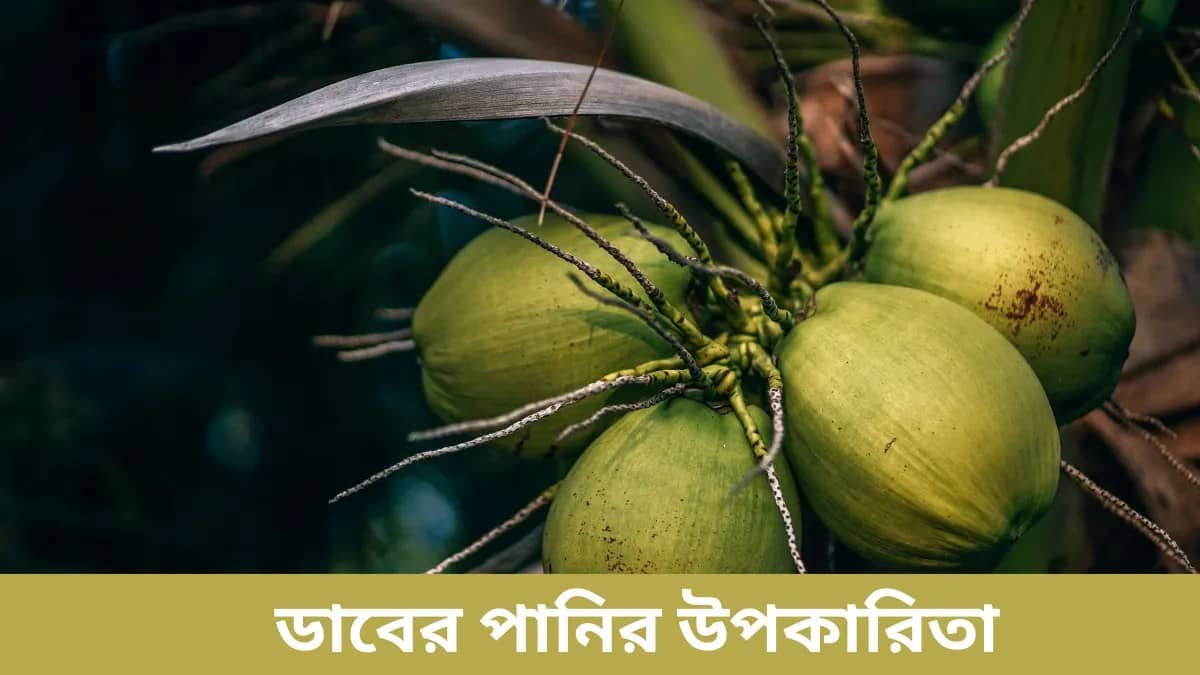 প্রতিদিন ডাবের পানি খেলে কি কোনো ক্ষতি হতে পারে?