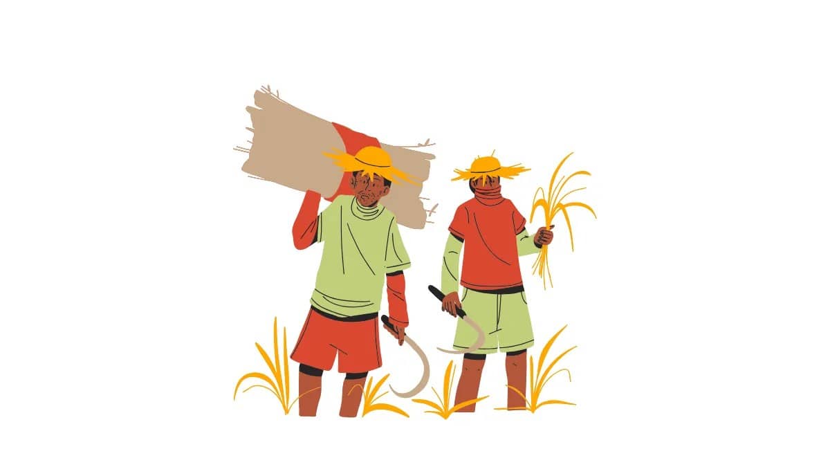 পরিবার পরিকল্পনা নিয়োগ ২০২৫ সার্কুলার